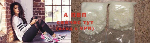 шишки Киренск