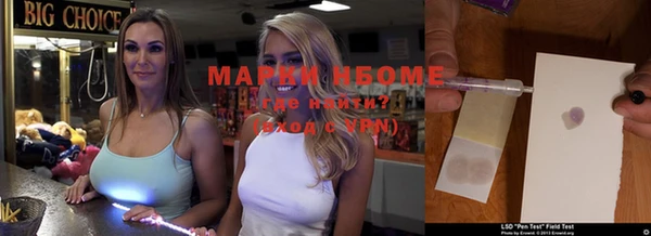 шишки Киренск