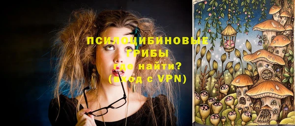 мдпв Кинешма