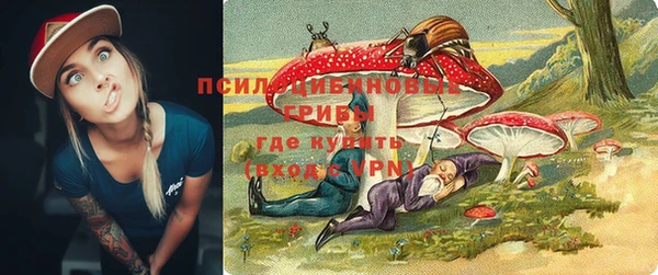 мдпв Кинешма