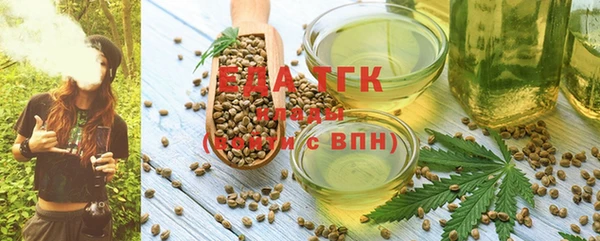 шишки Киренск