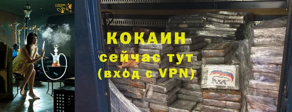 шишки Киренск