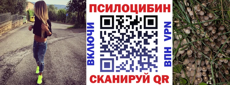 Псилоцибиновые грибы MAGIC MUSHROOMS  Купить закладки  Неман 